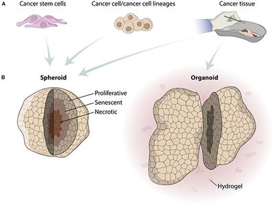 Recapitulating Tumorigenesis in vitro: Opportunities and Challenges of 3D Bioprinting